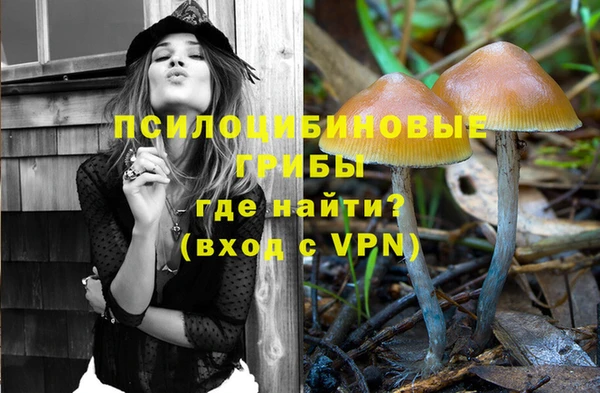 МДМА Алексеевка
